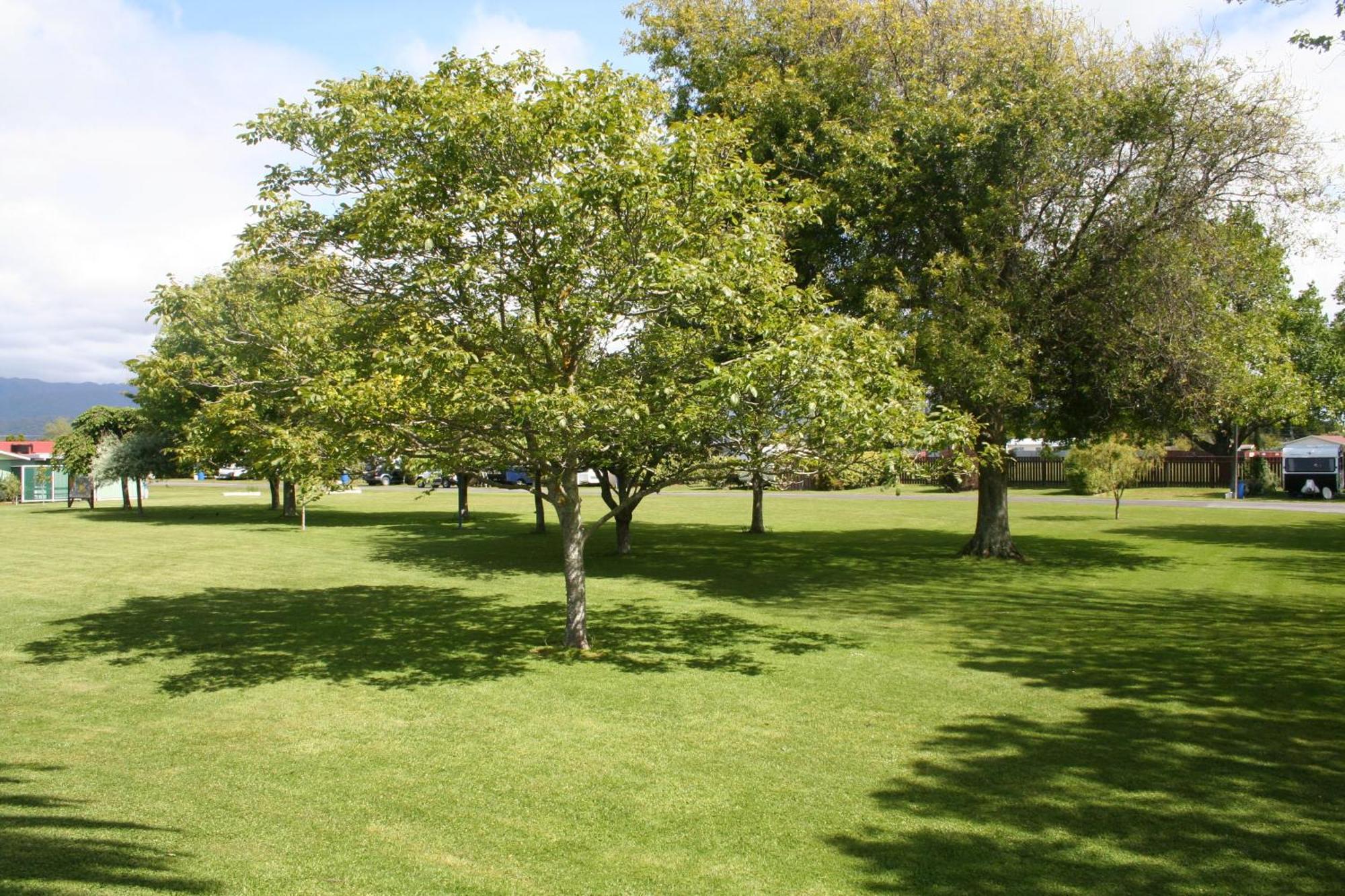 Levin Kiwi Holiday Park Bagian luar foto